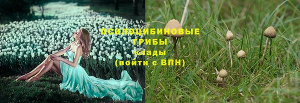 марки lsd Абаза