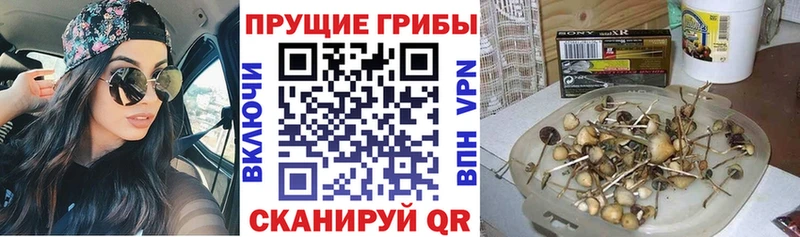 как найти   Старый Крым  hydra как зайти  Галлюциногенные грибы мицелий 